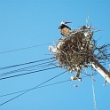 2009_portugal 269
